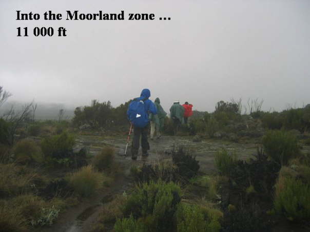 17 Moorland zone in the rain
