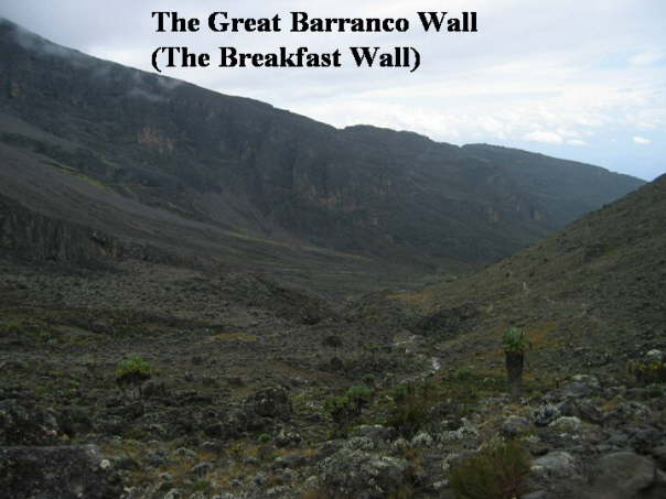 35 Barranco wall