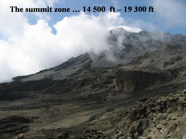 41  Summit zone