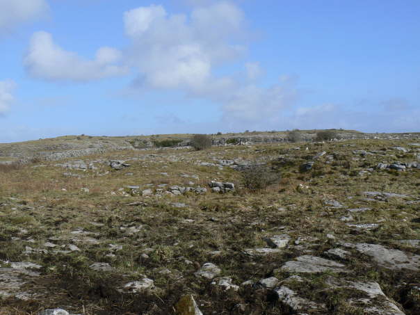 More Burren scenery